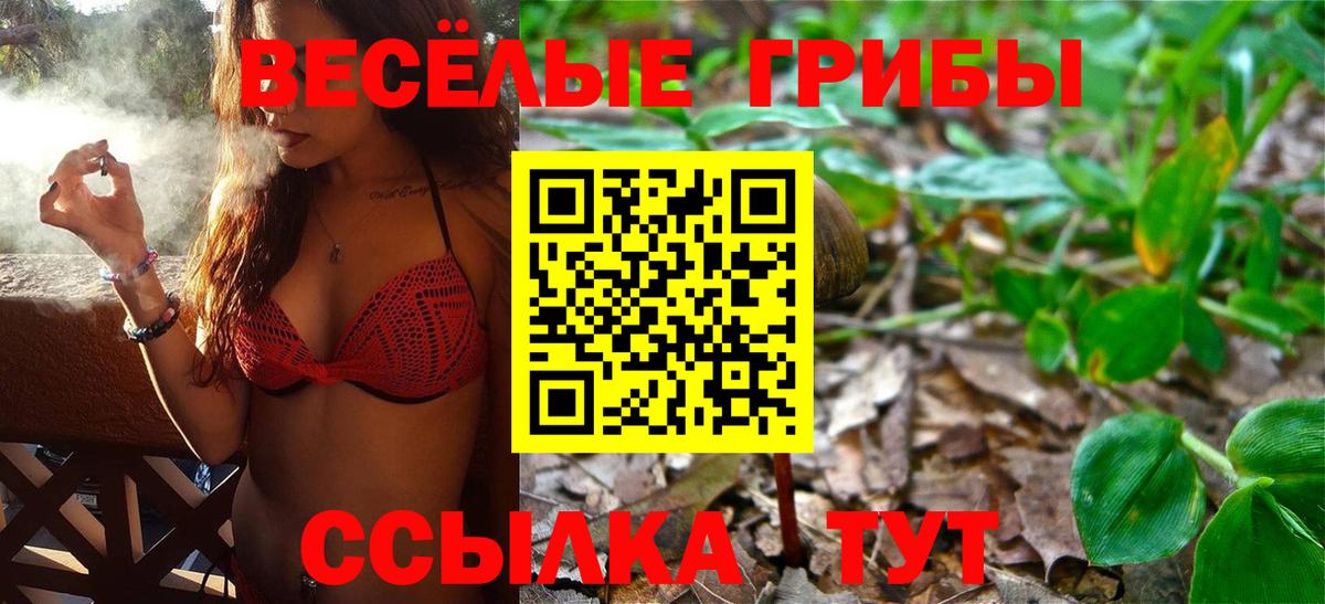 Псилоцибиновые грибы MAGIC MUSHROOMS  Вход с VPN  Елец  Галлюциногенные грибы прущие грибы 